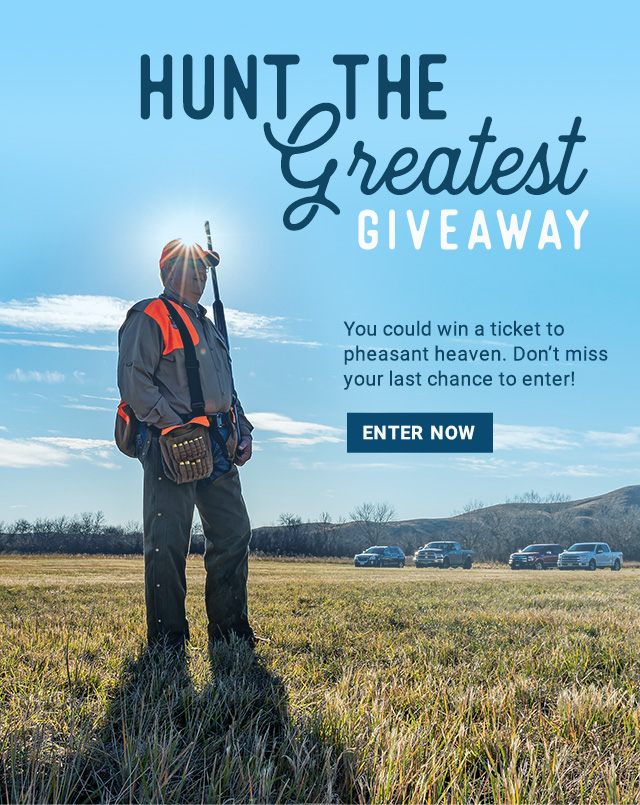 Hunt the greatest giveaway - enter now!