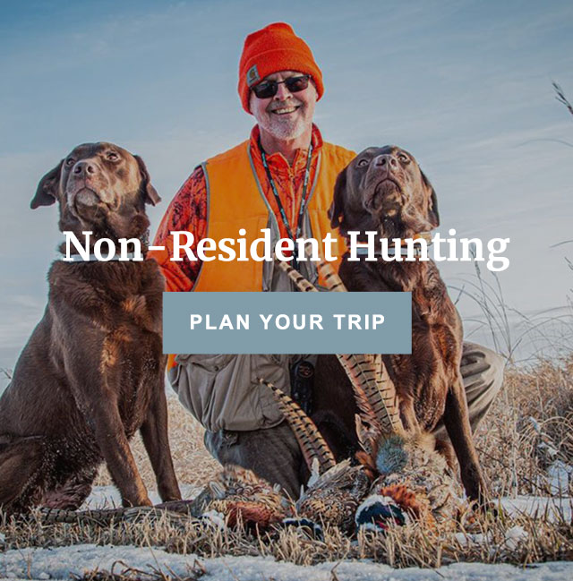 Non-resident Hunting - Plan Your Trip