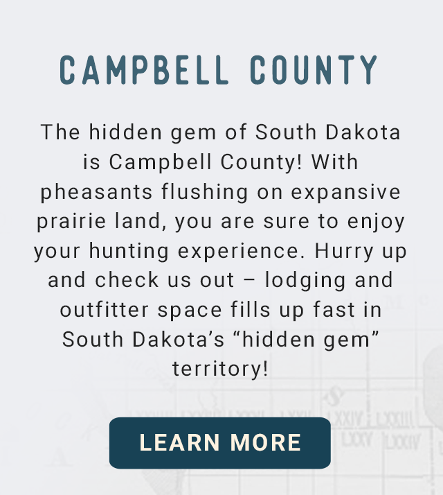 Campbell County - The hidden gem of South Dakota is Campbell County! With pheasants flushing on expansive prairie land, you are sure to enjoy your hunting experience. Hurry up and check us out – lodging and outfitter space fills up fast in South Dakota's 