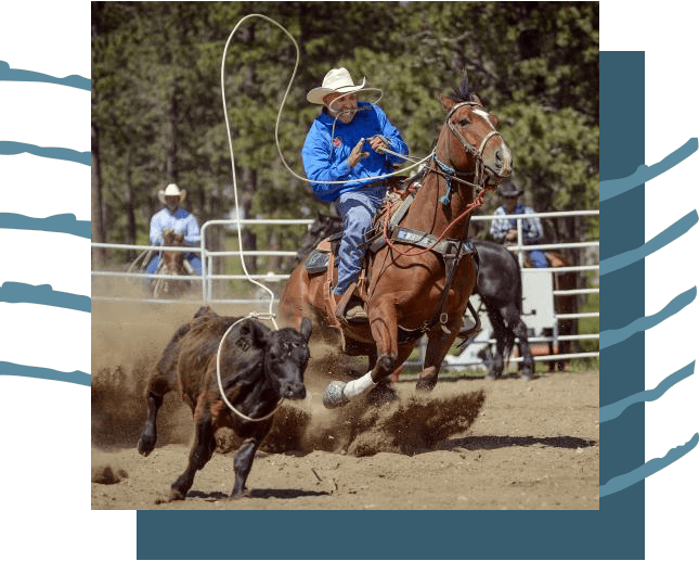 A cowboy roping in a cow at a rodeo.