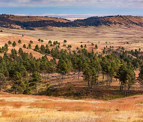 The Badlands of South Dakota