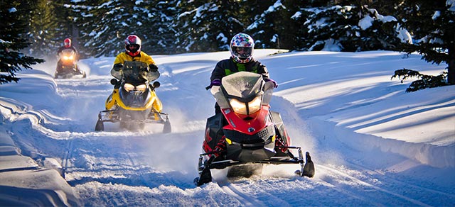 A group on snowmobiles going through the forest.  