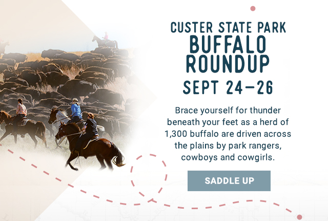 Custer State Park Buffalo Roundup Sept 24 - 26. Brace yourself for thunder beneath your feet as a herd of 1,300 buffalo are driven across the plains by park rangers, cowboys and cowgirls. Saddle Up!