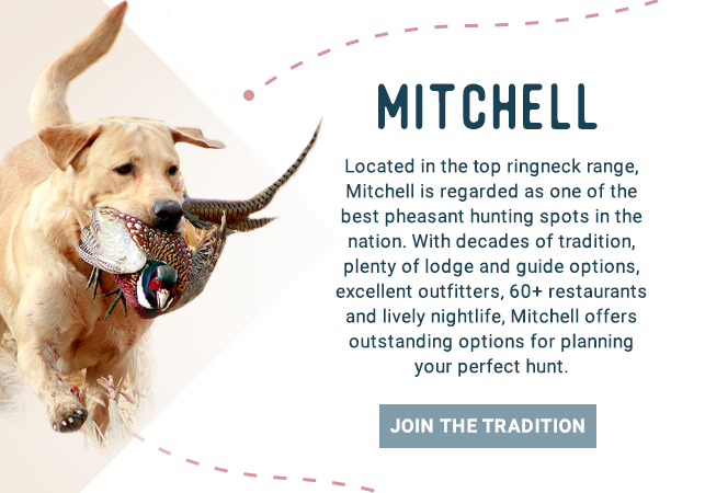 Mitchell - Located in the top ringneck range, Mitchell is regarded as one of the best pheasant hunting spots in the nation. With decades of tradition, plenty of lodge and guide options, excellent outfitters, 60+ restaurants and lively nightlife, Mitchell offers outstanding options for planning your perfect hunt. Join the Tradition!