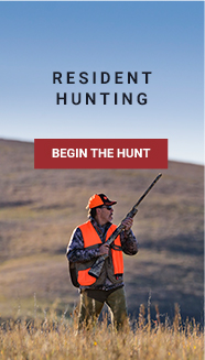 Resident Hunting - Begin the Hunt