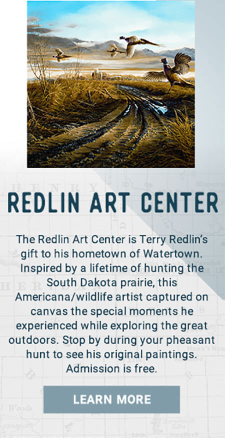 Redlin Art Center