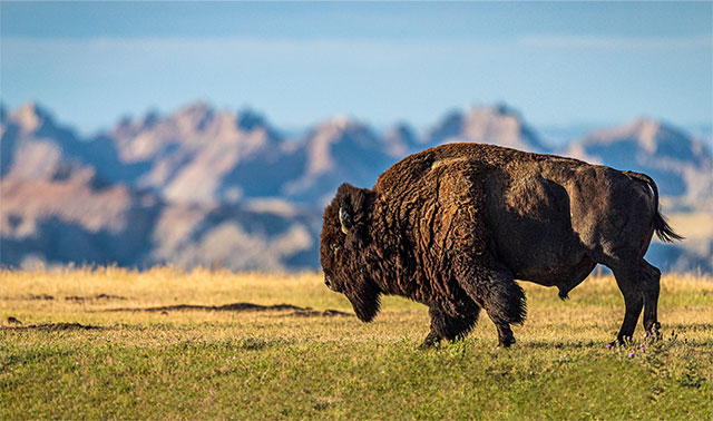 South Dakota Trip Itineraries.