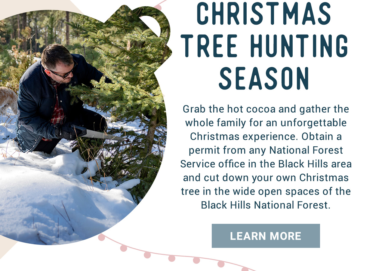 Christmas Tree Hunting Season - Learn More