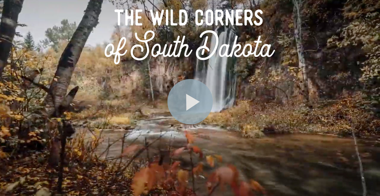 The Wild Corners of South Dakota - Play Video